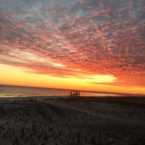 Meet your Posher, Mallory